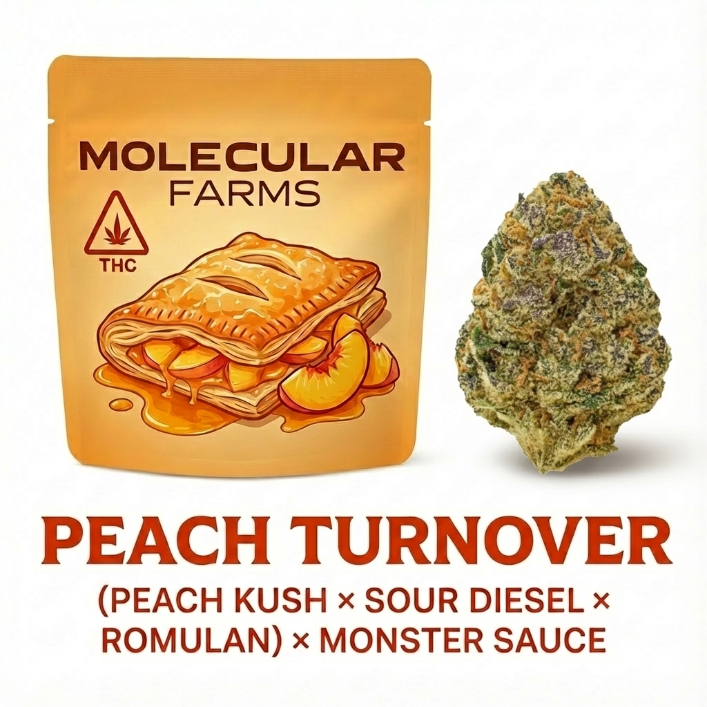 Peach Turnover