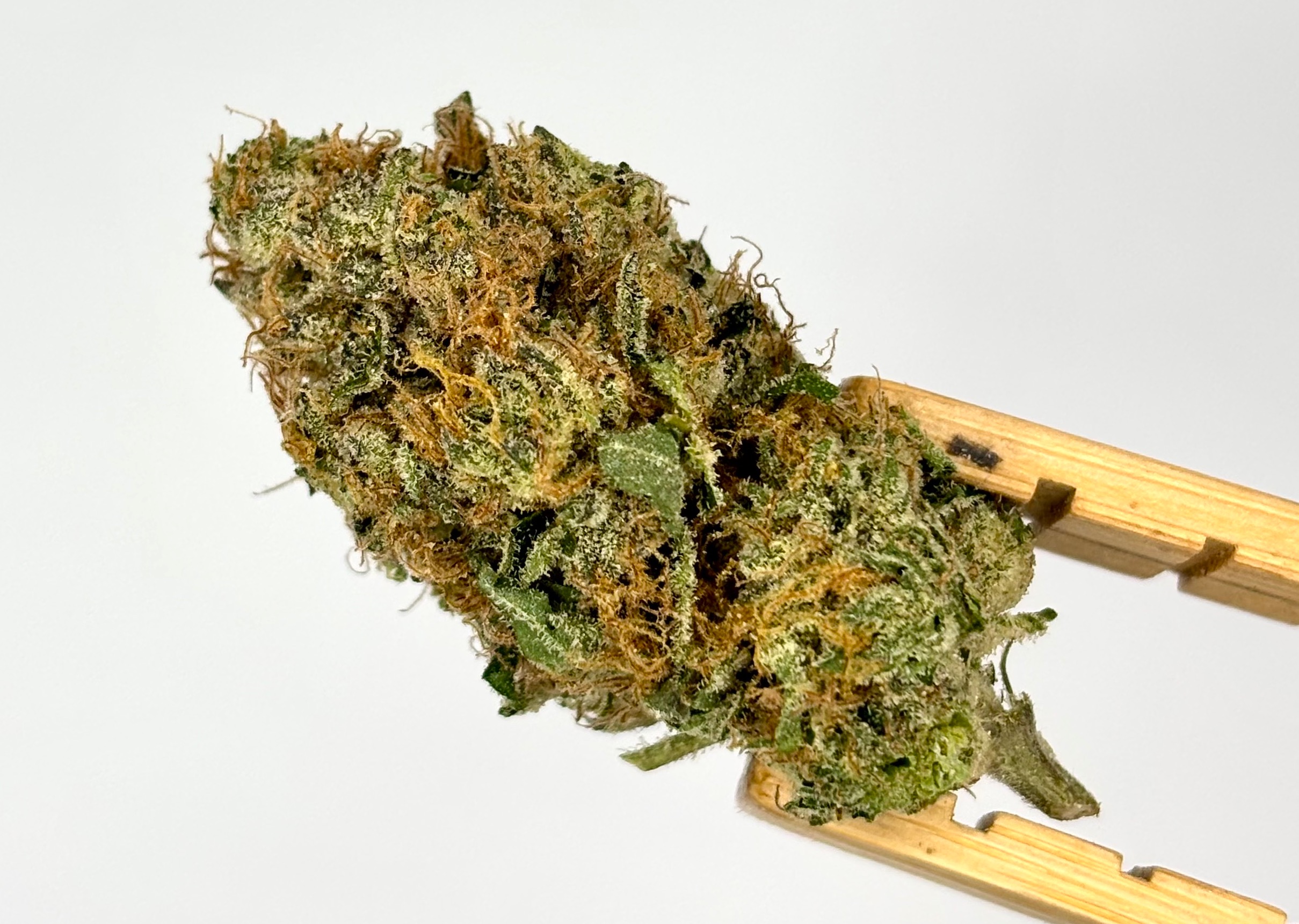 Verde Valley | Zlush Runtz | Bulk Flower | Platinum Tier