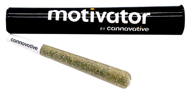 Primitivo Pre-Roll 1g