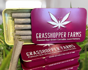 Infused Pre-Roll | Strawberry Sunrise