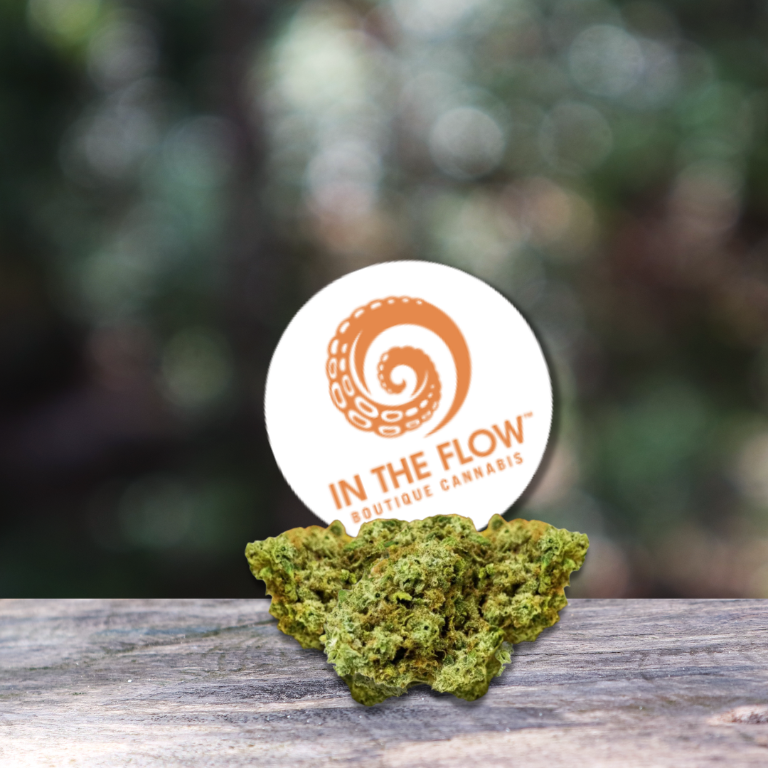 Itf Durban Buds