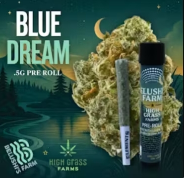 Belushi's x High Grass Farms - Blue Dream - 0.5g - Pre-roll