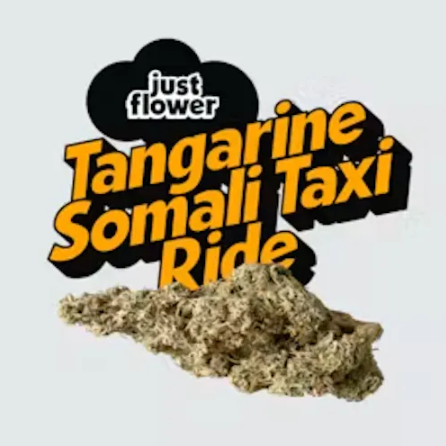 JUST FLOWER Tangerine Somali Taxi Ride 15g