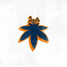 Embroidered Cropped Hoodie Size