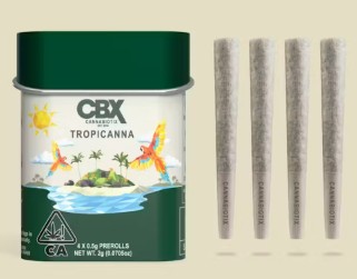 CANNABIOTIX- TROPICANNA 4PK /2G) PREROLL [S]