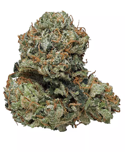 Kosher Kush | Premium Flower | 3.