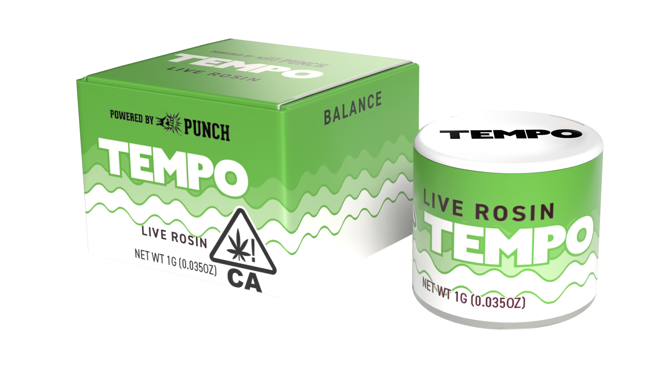 TEMPO: Pine Bloom