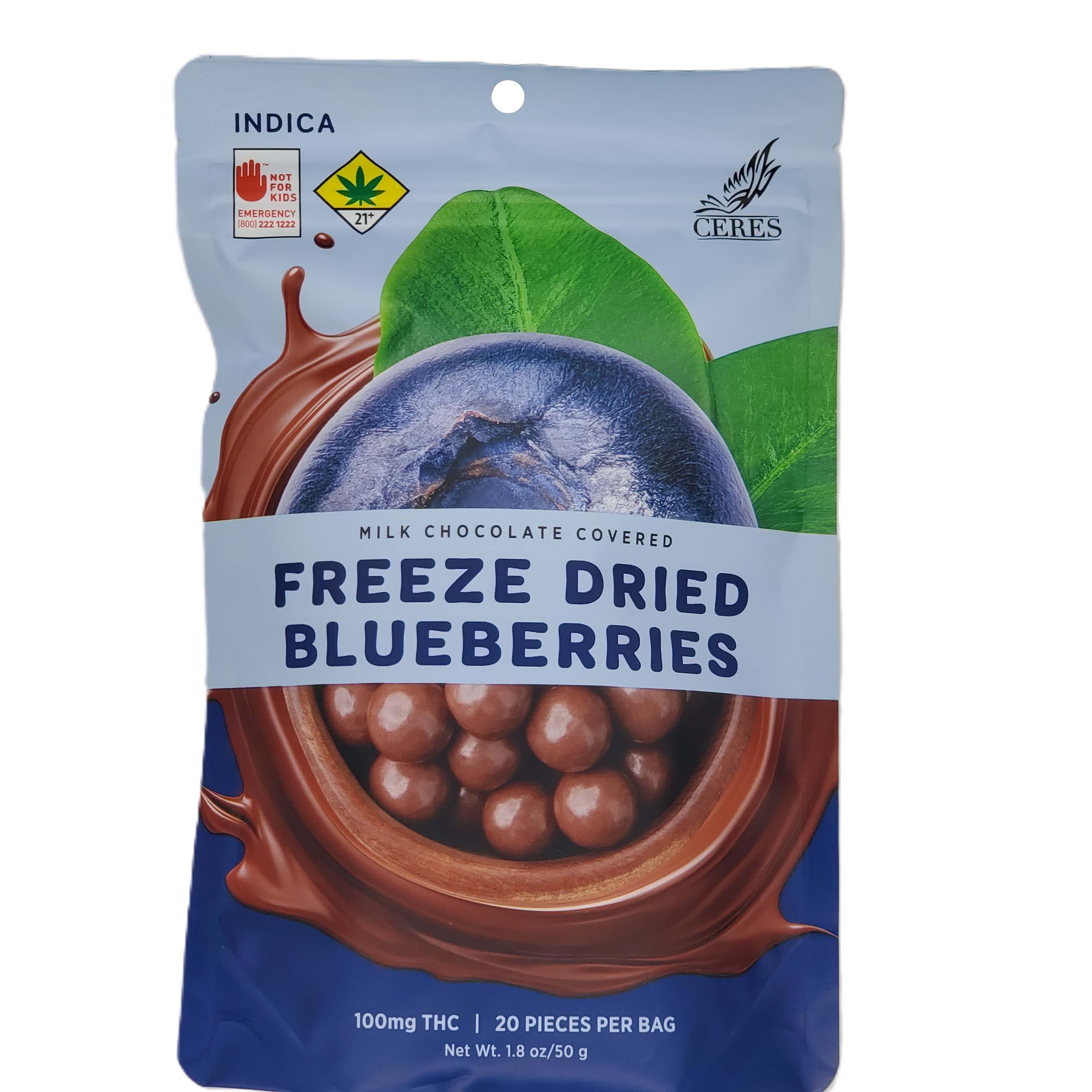 Chocolate Covered Freeze Dried Blueberries