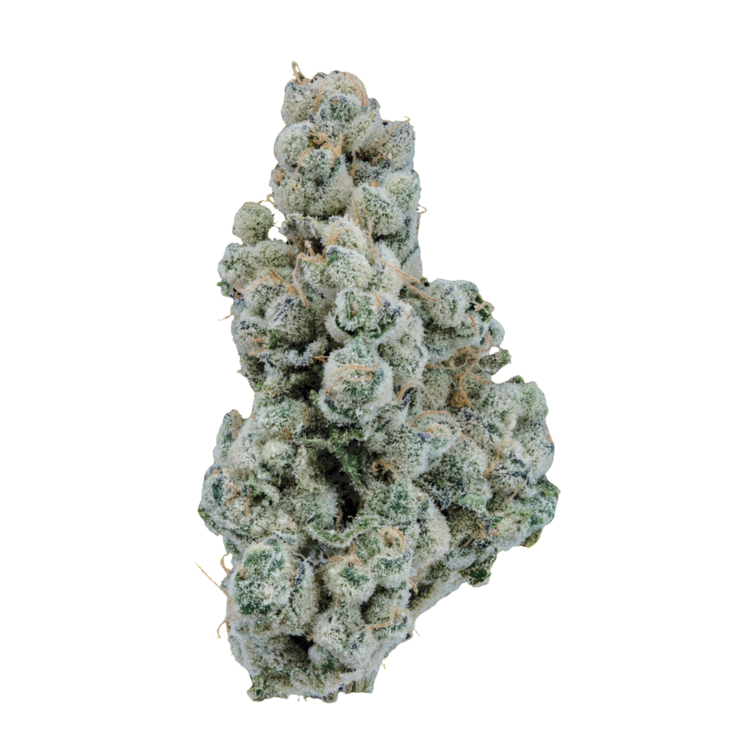 Seed Junky | Banana Fruz | Bulk Flower | Diamond Tier