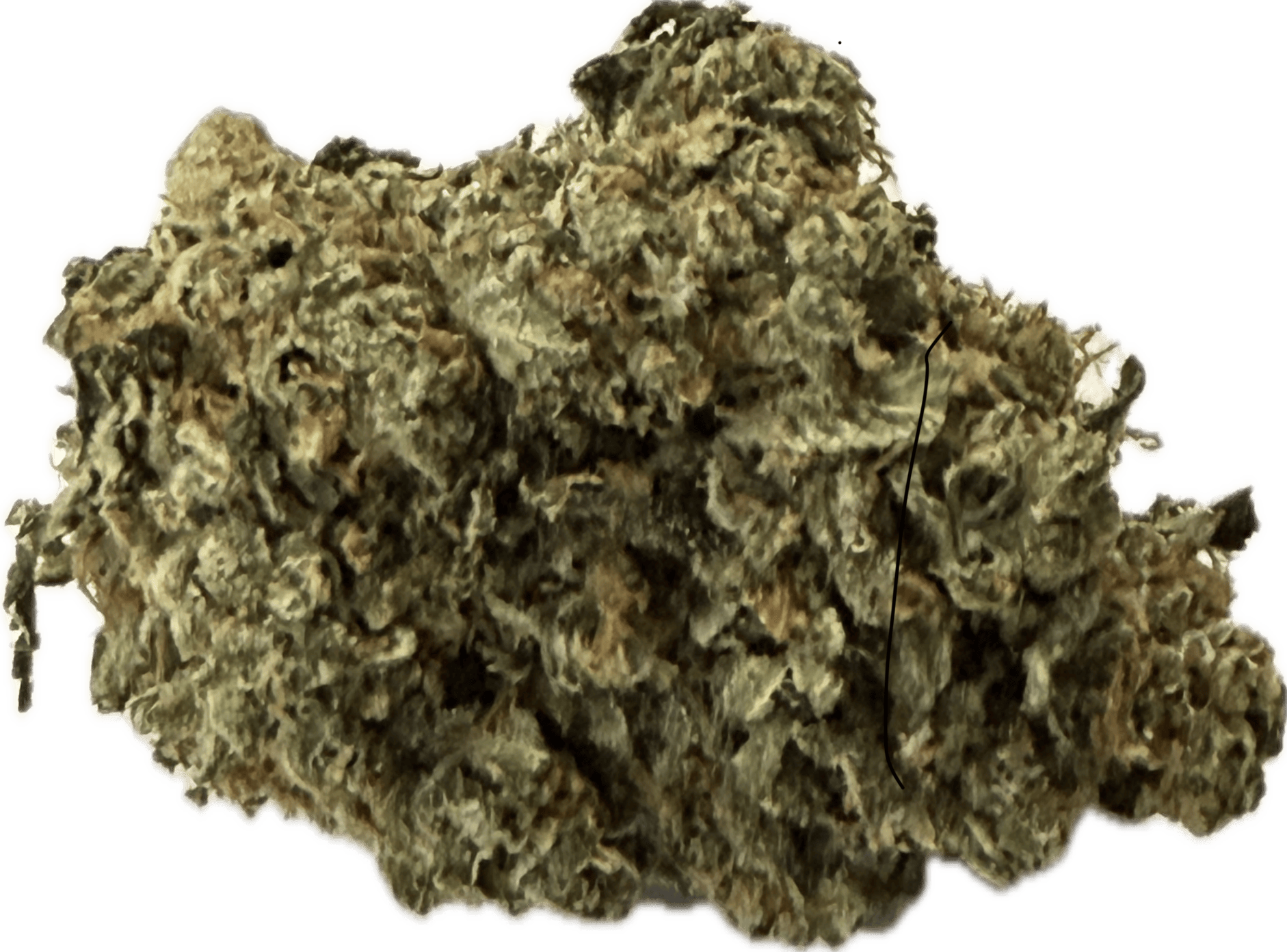 Red Lebanese Hashplant Preroll 1g