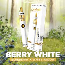 DIME - Berry White - 2g - Disposable Vape
