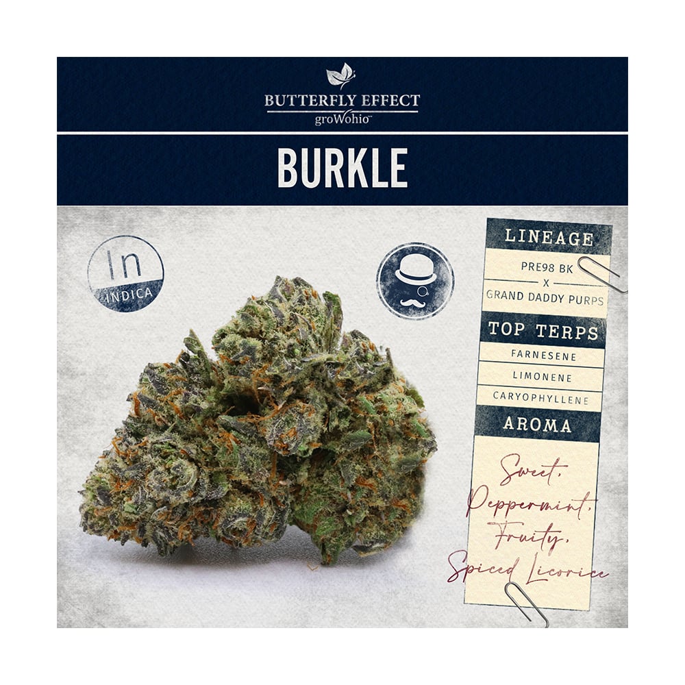 Burkle Living Soil Buds 2.83g