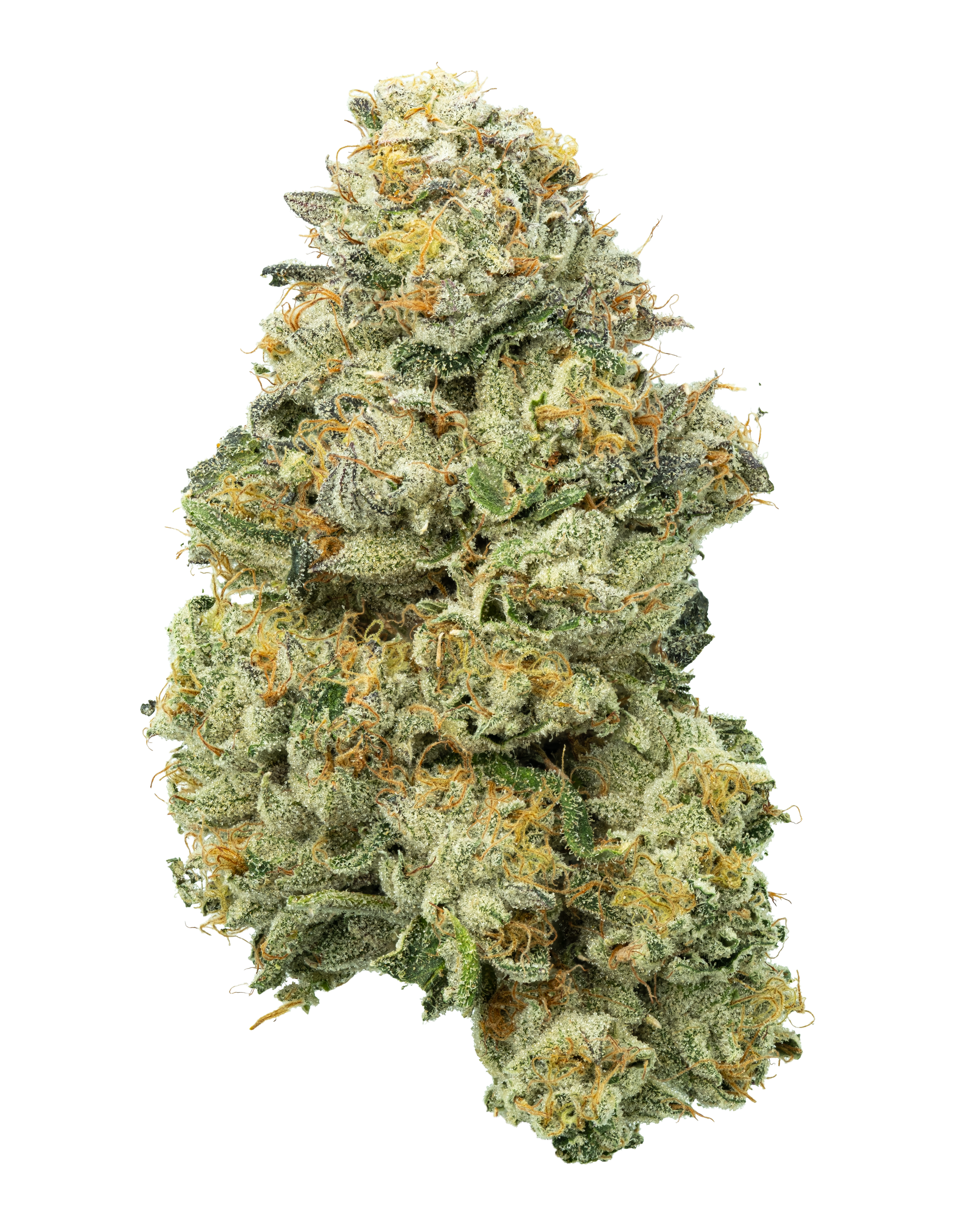 GSZ | 28g