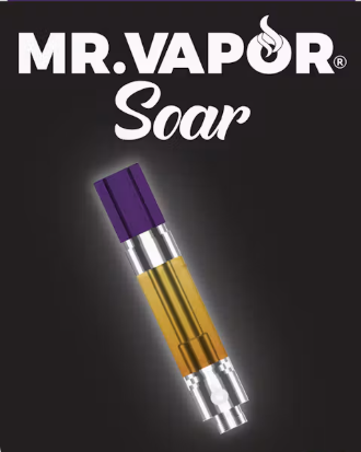 MR VAPOR CART | BERRY ZKITTLEZ | INDICA