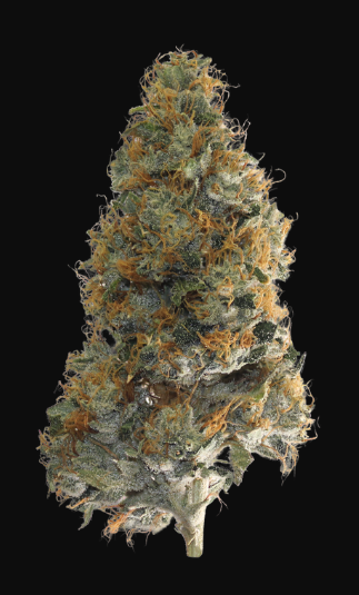 Godfather OG Flower