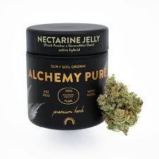 PURE | NECTARINE JELLY | 0.5g ea | 6pk | KIEF INFUSED | PRE-ROLL PACK