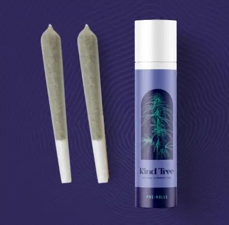 Kind Tree - Dino Bites - 1g/2pk - Prerolls