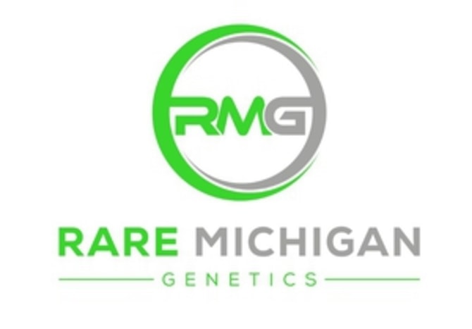 Rare Michigan Boss Hog OG (3.5g)