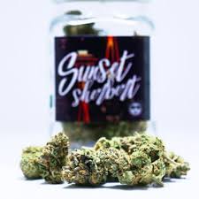 Platinum Flower Sunset Sherbert
