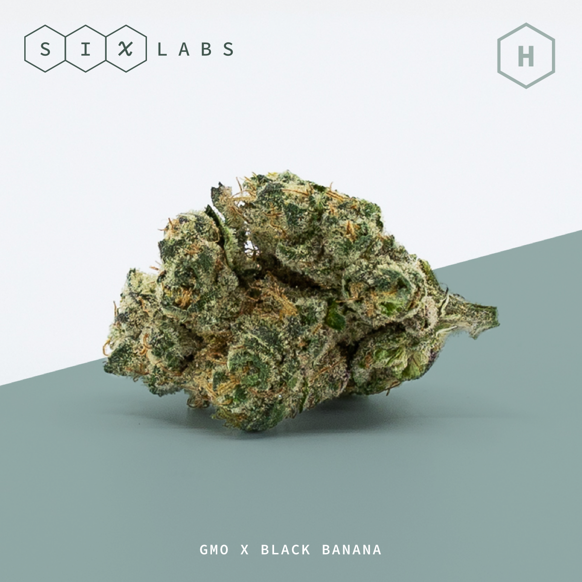 Six Labs | Don Mega | Bulk Flower