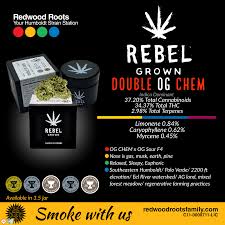 Rebel X Anthos: Double OG Chem (3.5g)