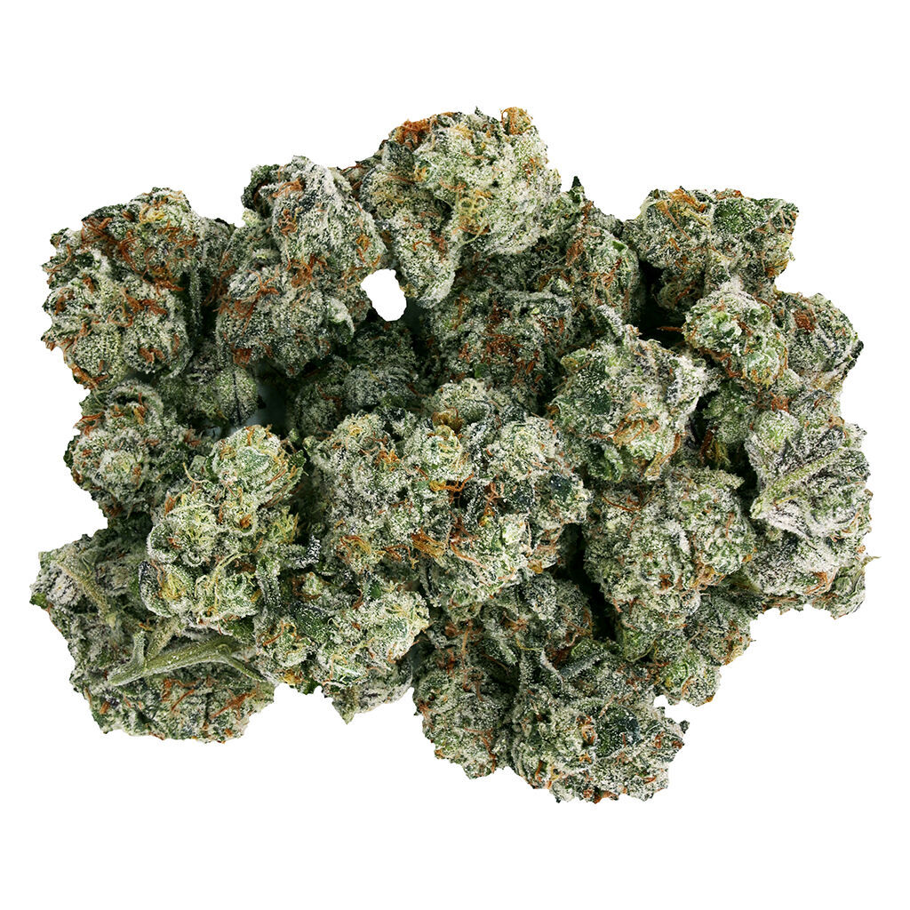 Starting Point! - Frenchy Macaroni - Hybrid
