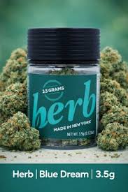 Herb | Blue Dream | Flower | 3.5g by Herb - flower cannabis product