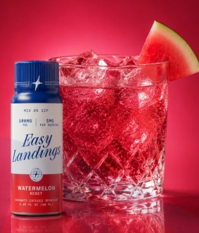 Easy Landings - Watermelon - 100mg/2oz - THC Infused Syrup
