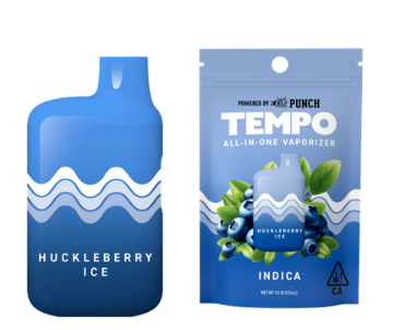 Tempo Huckleberry Ice All In One Vape