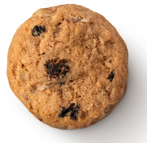 Oatmeal Rasin Cookies Indica 20x10