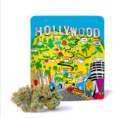 Flower | Buds | Hollywood | 3.5g-Indica
