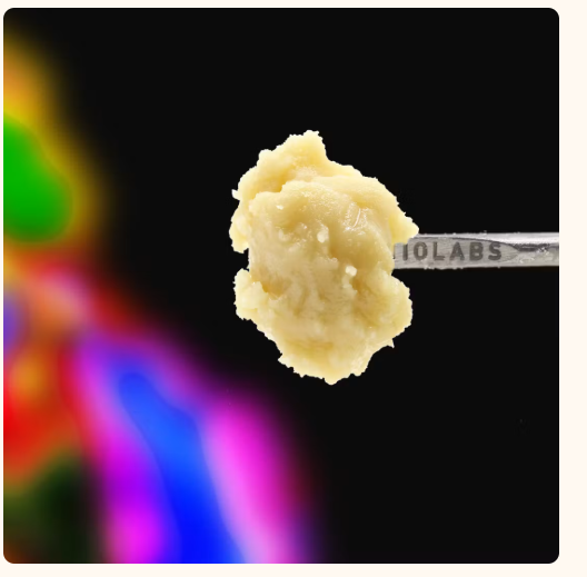 710 Labs - Jackson Heightz - Persy Badder