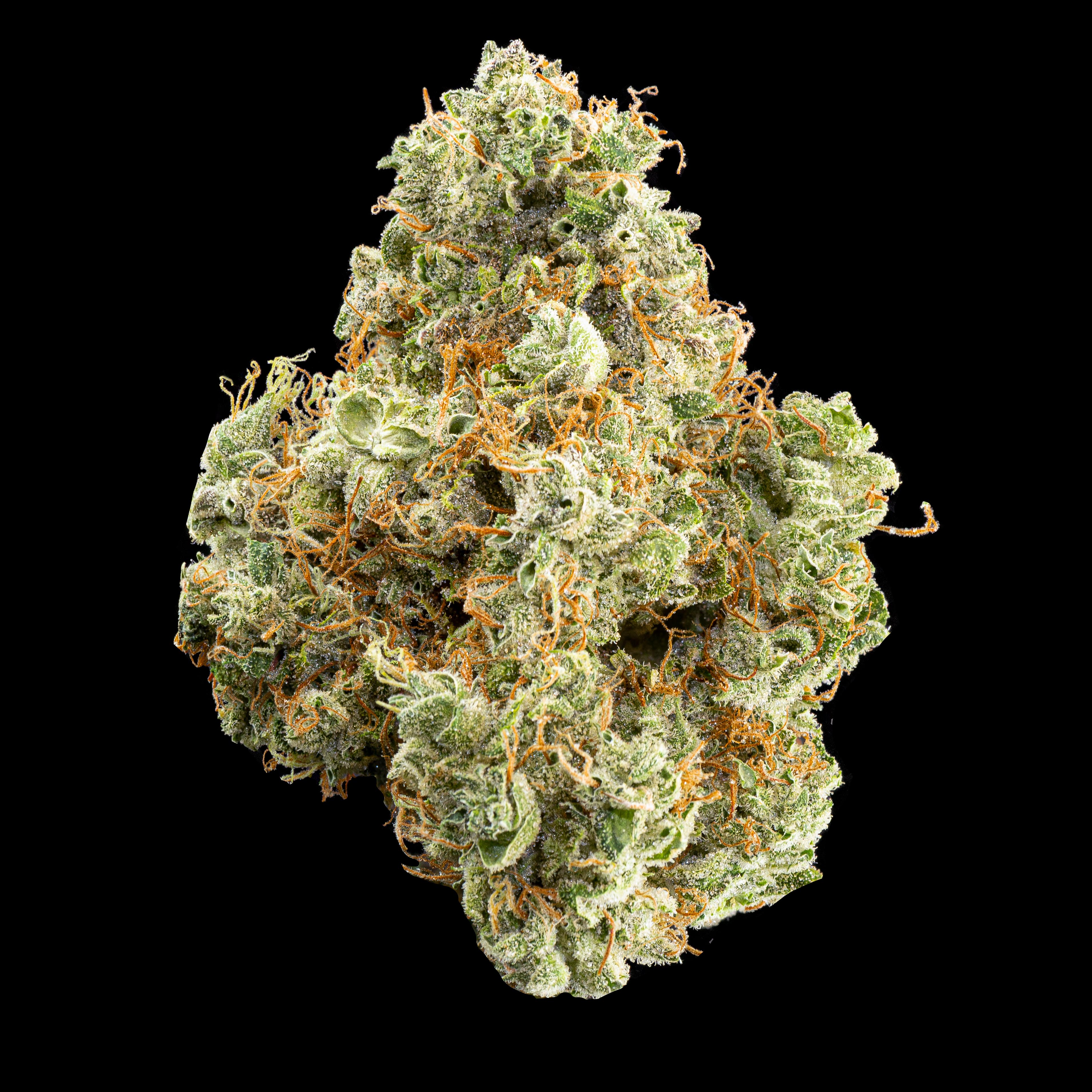PFM (H) 16.73% - Bulk