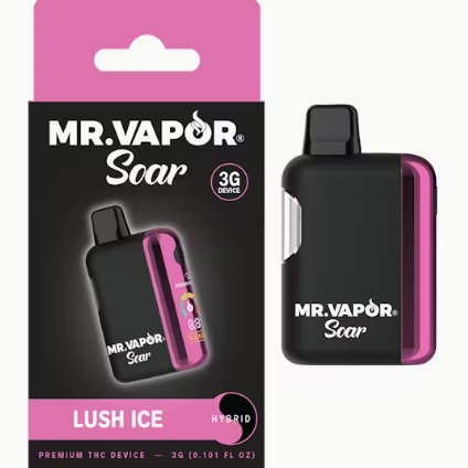 Mr. Vapor - Lush Ice - 3g Disposable