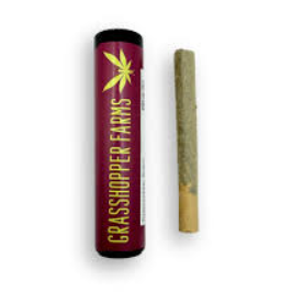Magic Mango | Infused Pre-roll | 1g | Hybrid