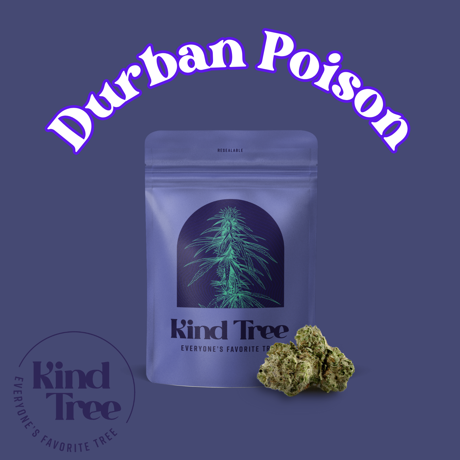 Kind Tree | Durban Poison