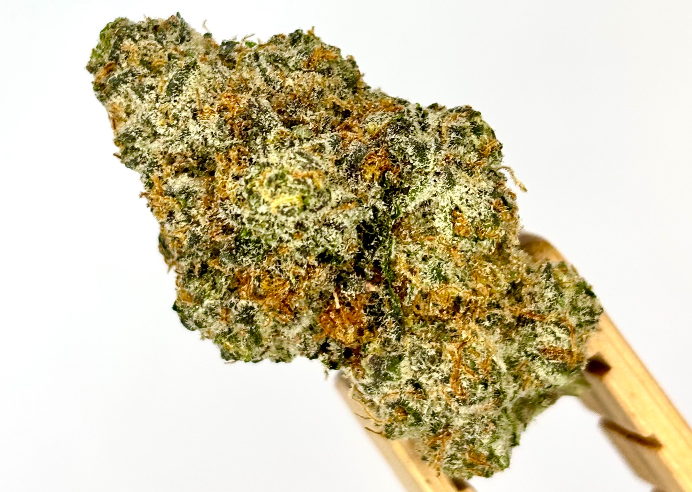 Curveball Bulk Flower Purple Tier