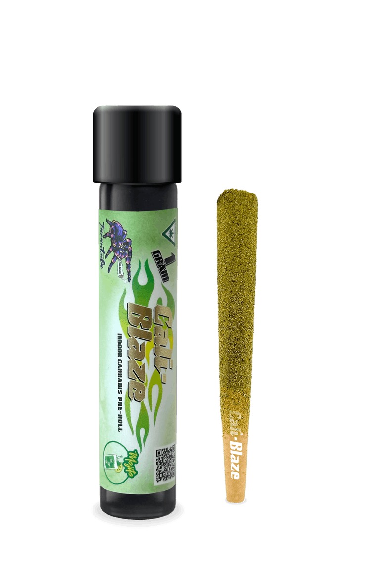Cali Blaze Tarantula | Mojito