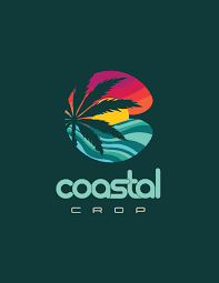 300mg Strawberry Lemon Cake Nano