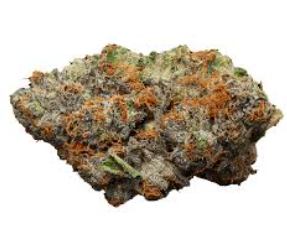 Zips - Joint Custody