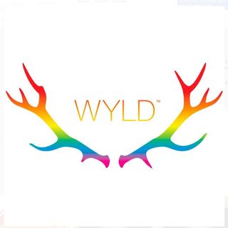 Wyld One | Raspberry Lime 1:1 | Single Gummy 100mg