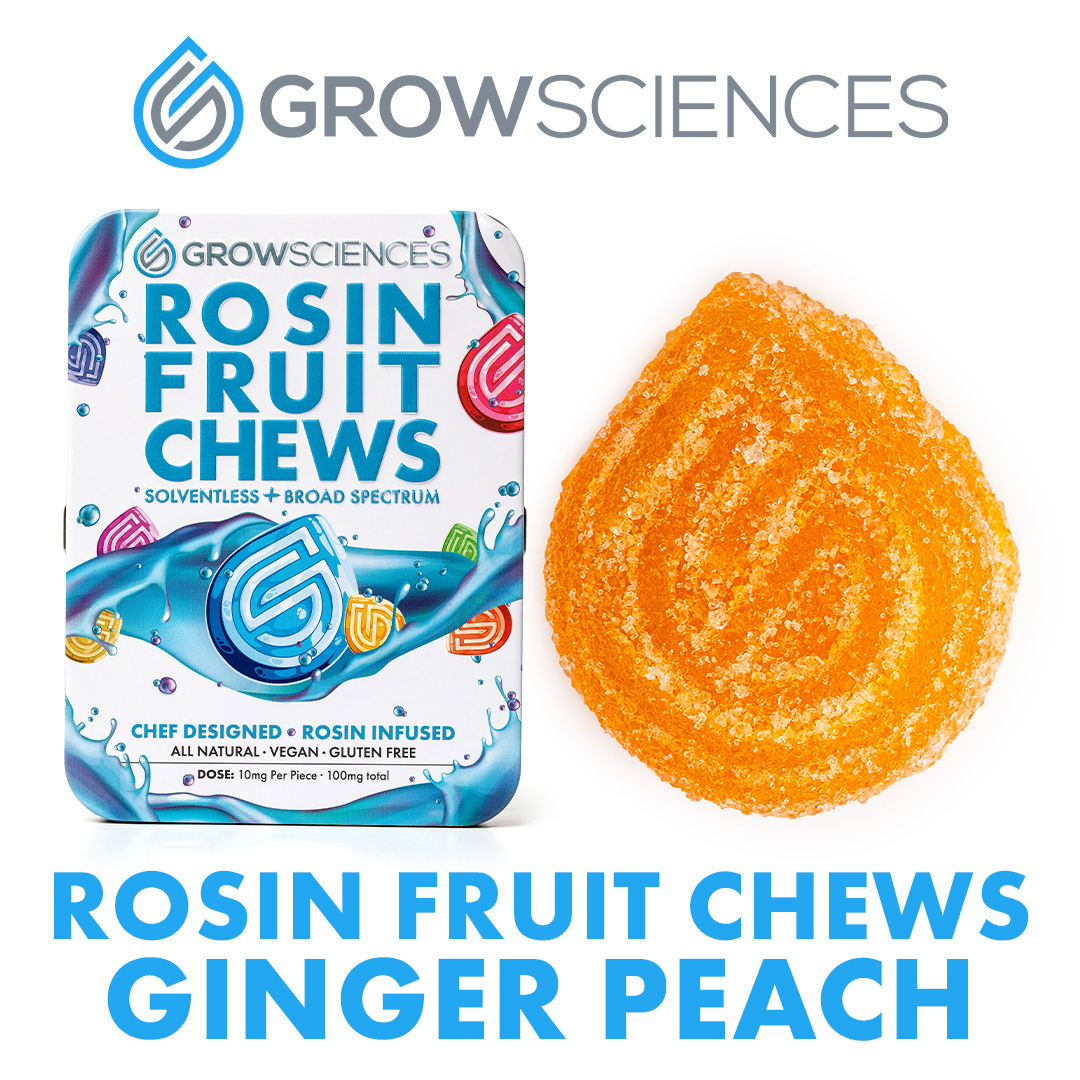 100mg <10x10mg> Rosin Fruit Chews (Ginger Peach)