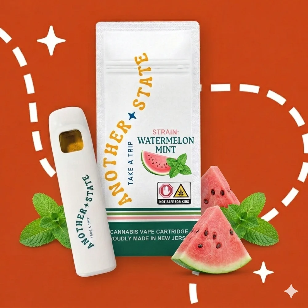 Disposable | Watermelon Mint | Hybrid | 2G