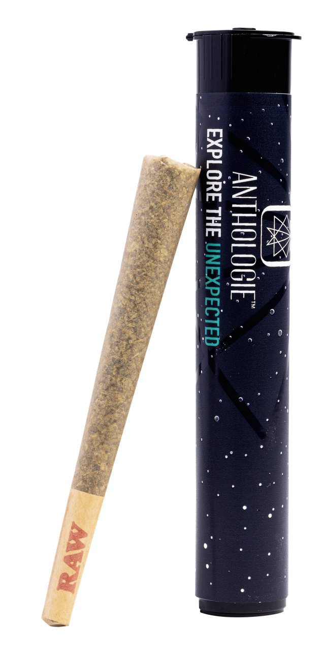 Single Preroll - Underground Tangie - Anthologie - REC