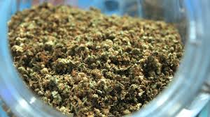 Shake | Grease Bucket |