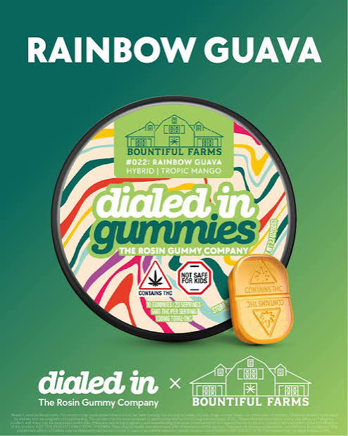 Dialed In | LTO | Rosin Gummies | Tropic Mango x Rainbow Guava | 100mg