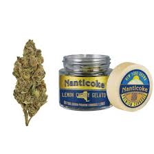 Nanticoke | Lemon Cherry Gelato | 3.5g | Flower | (H)