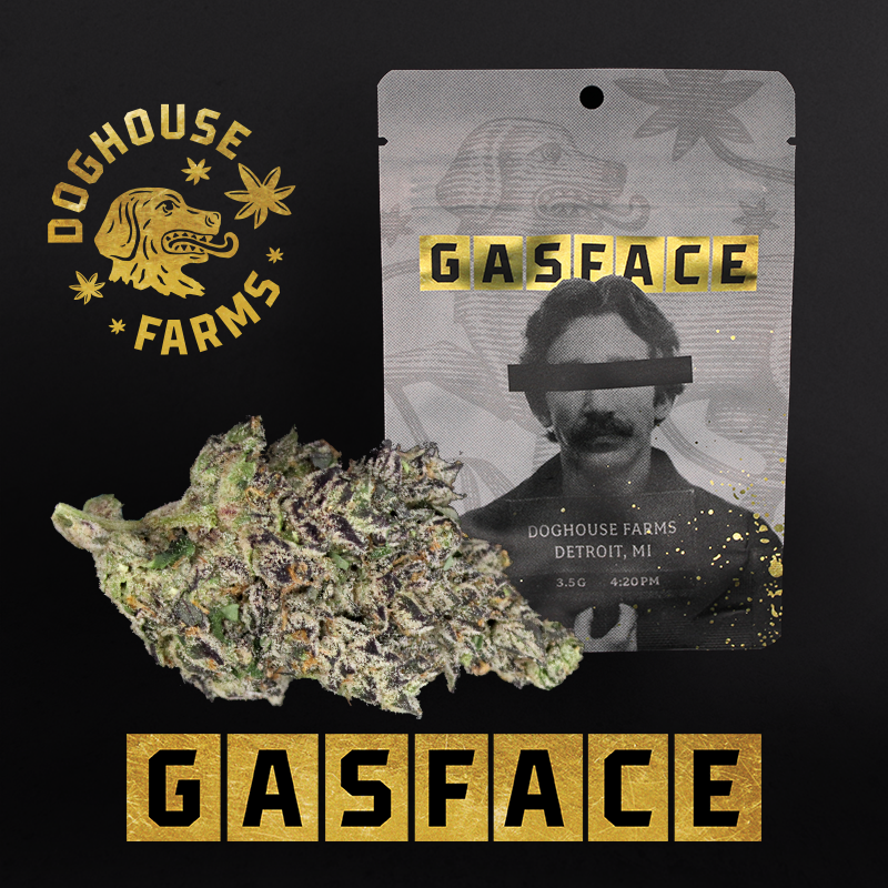 DogHouse | Gas Face | Bulk Flower | Platinum Tier
