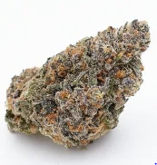 Bubba C