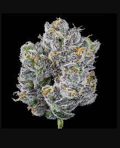 Happy Hour #21 | Premium Flower | 3.